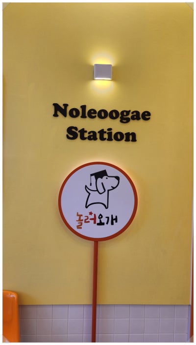 놀러오개 애견유치원 애견호텔 울산동구점