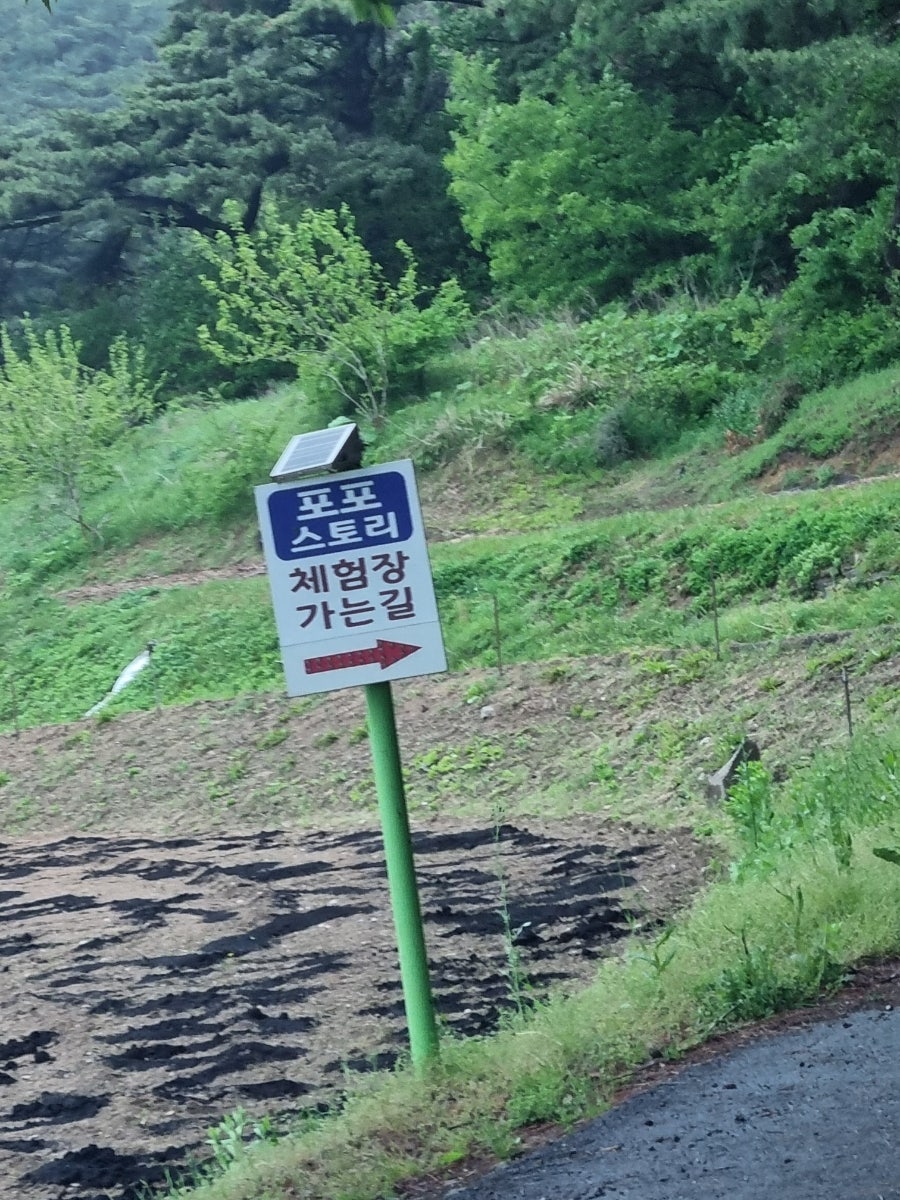 포포나무펜션 사진 5