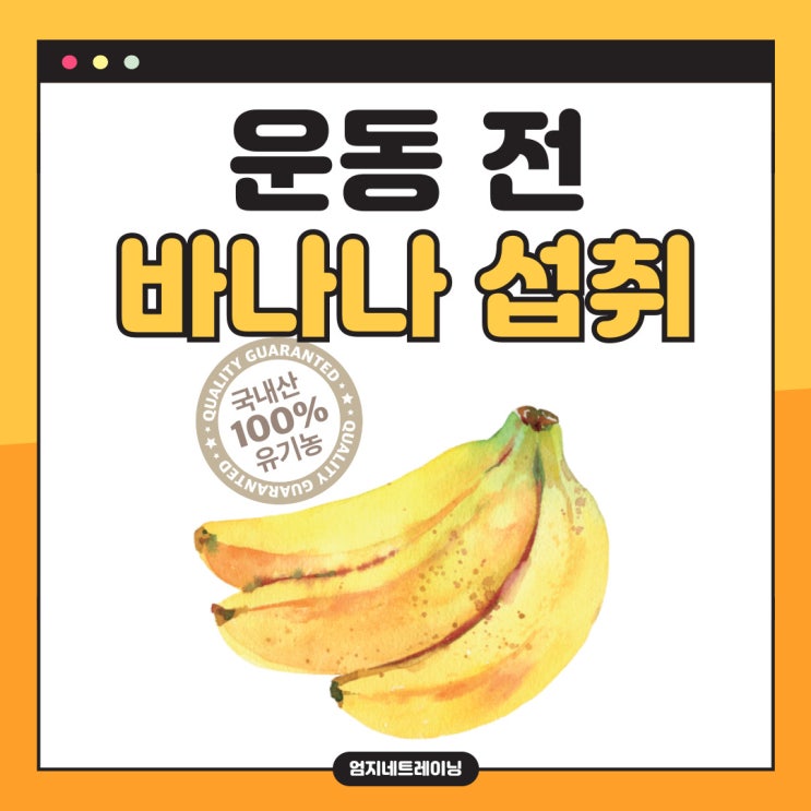  운동전 바나나 논문으로 알아보는 최적의 섭취 시점과 양