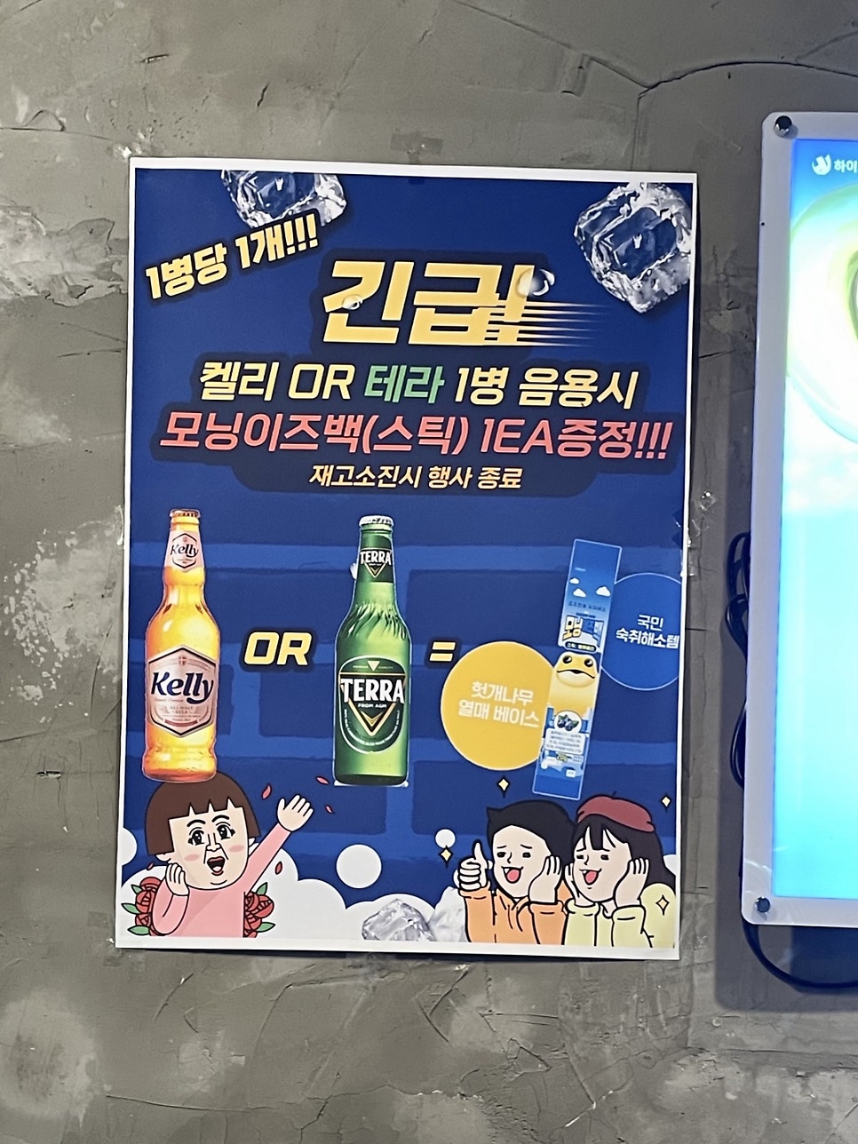 신열날개 사진 5