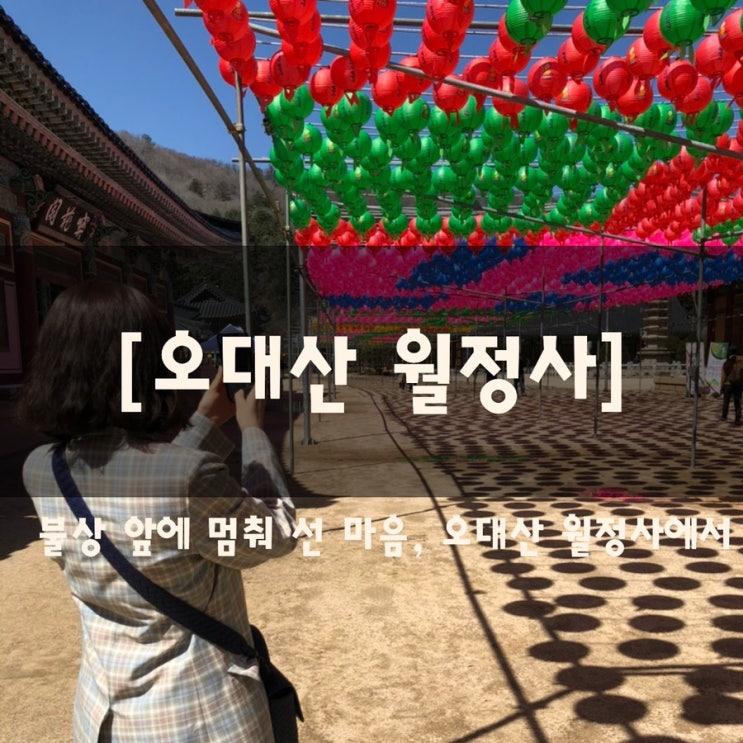  불상 앞에 멈춰 선 마음, 오대산 월정사에서