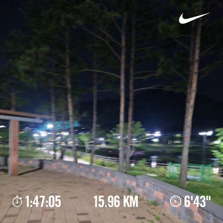 매일 10km 러닝 챌린지 1375일 차