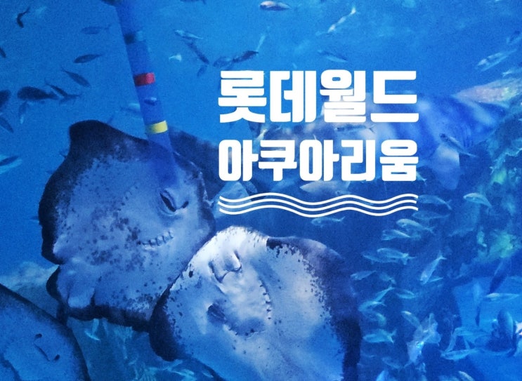  잠실 롯데월드 아쿠아리움 생생리뷰 공연정보 층별안내