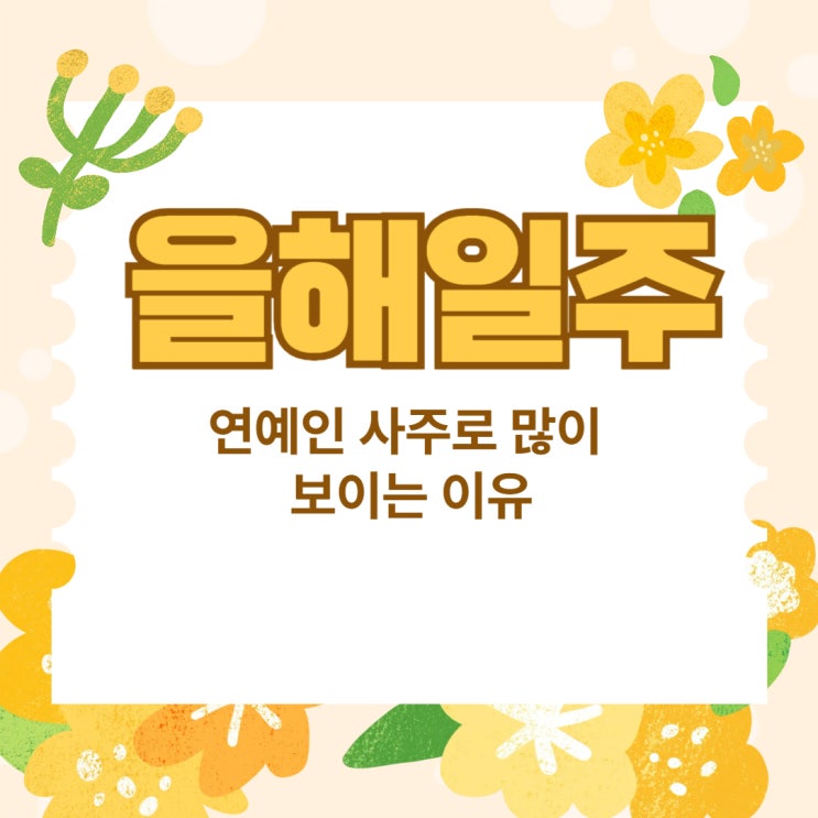  을해일주는 왜 연예인 사주로 많이 보일까? 성격 궁합 흐름까지