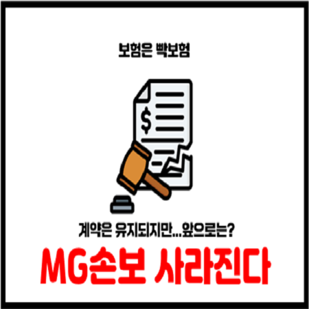  MG손해보험 파산 가교보험사 이전 그러나?