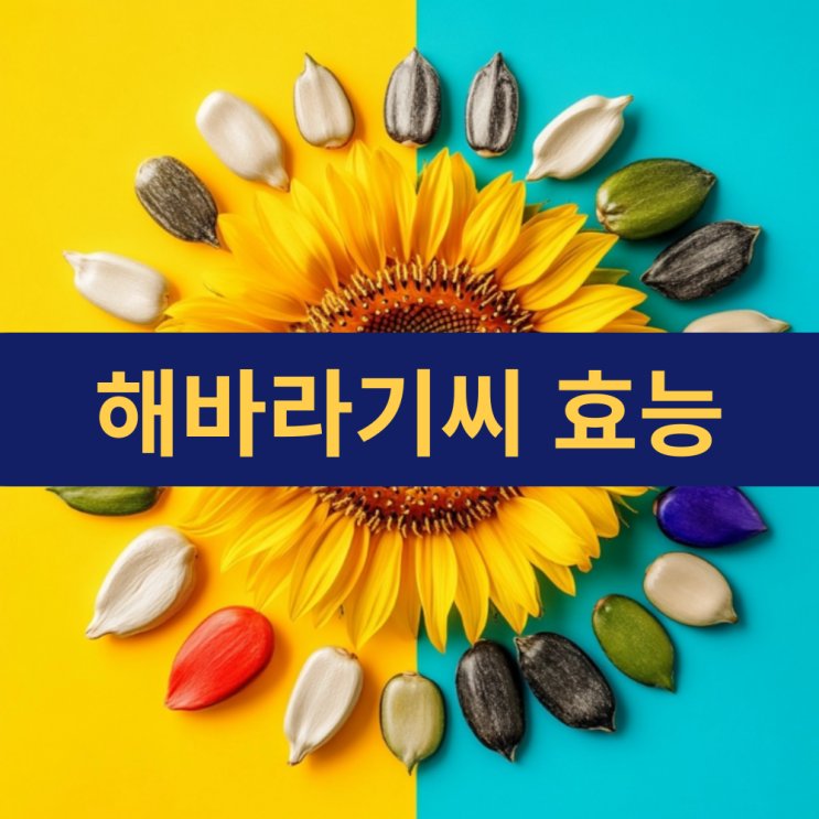 해바라기씨 효능 | 작은 씨앗의 큰 힘 | 해바라기씨 효능 7가지로 건강 UP!