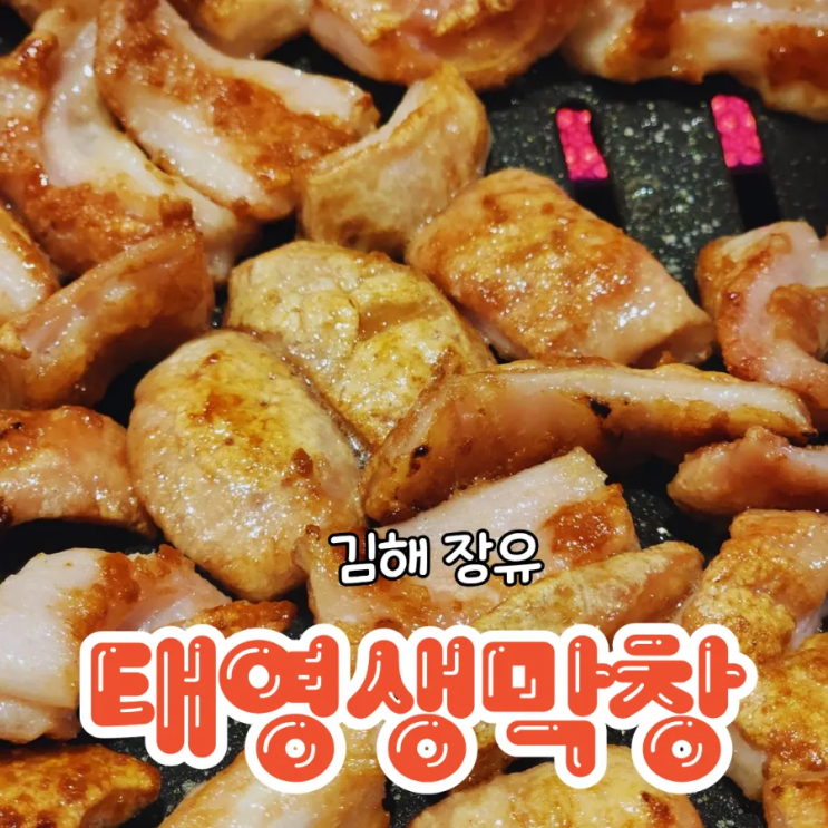  김해 장유 고기집 잡내 없는 태영생막창 대청점
