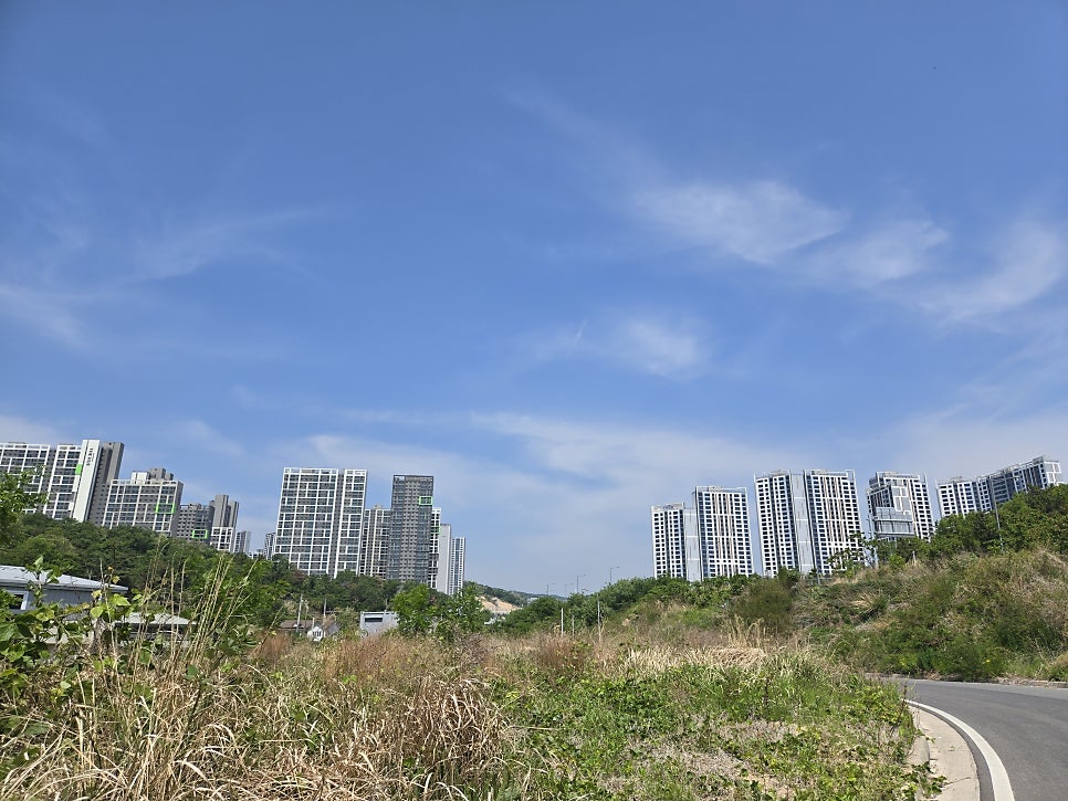 신기한면 덕성점 사진 2