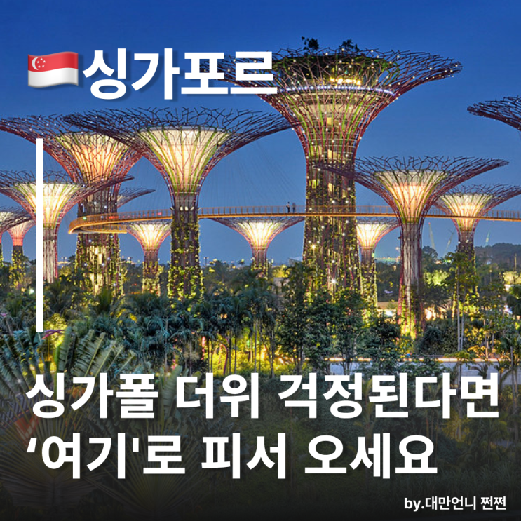  싱가포르 가든스바이더베이 꿀팁 실내 온실 야경 코스 추천 슈퍼트리쇼