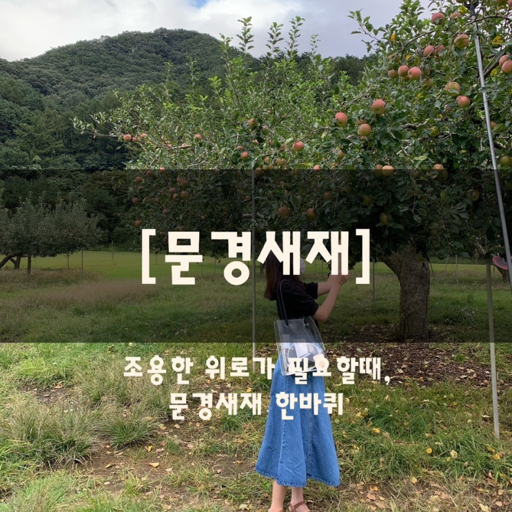  조용한 위로가 필요할 때,  문경새재 한 바퀴