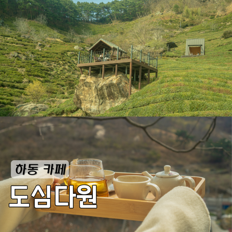  하동 카페 도심다원 예약하는 방법 녹차밭에서 힐링