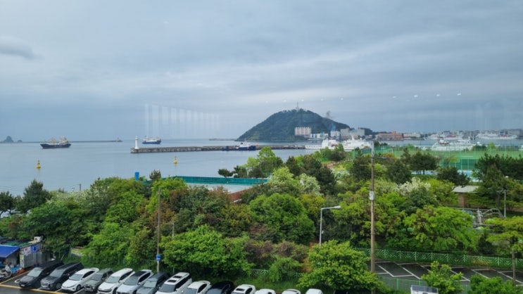  부산 영도 피아크 카페(+주차, 가격, 애견 동반) 후기, 나는 글쎄