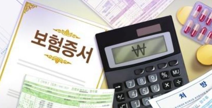 실손보험 허위·과다 청구, 감사원 대규모 적발…문제점과 제도개선 방향 실손보험 허위·과다 청구, 감사원 대규모 적발…문제점과 제도개선 방향