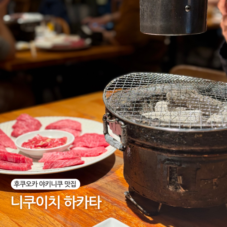  후쿠오카 야키니쿠 맛집 니쿠이치 하카타 예약 메뉴 추천