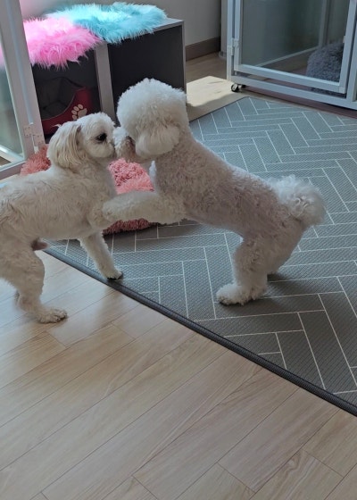 사진 2