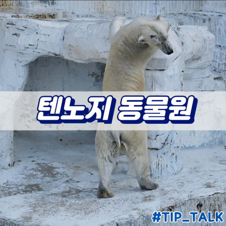  오사카 텐노지 동물원
