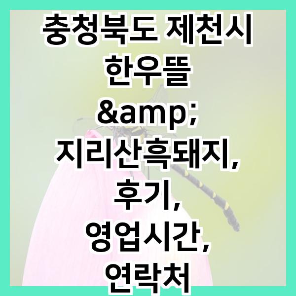 한우뜰&지리산흑돼지 사진 1