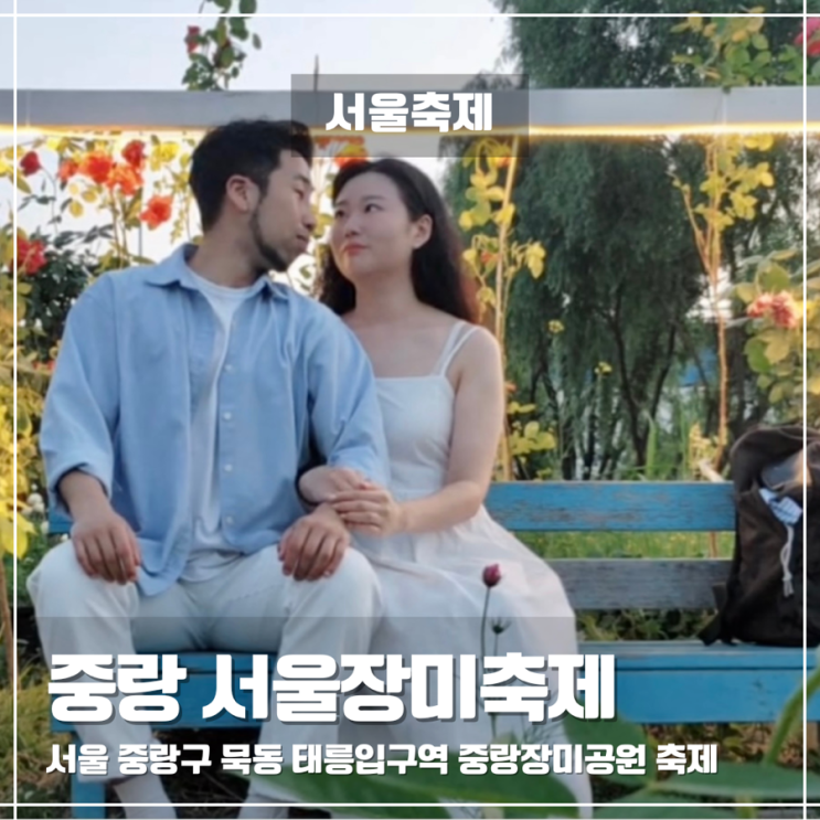  중랑 서울장미축제 2025 중랑장미공원 일정 위치 코스 포토존 정보