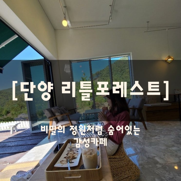  단양 리틀포레스트｜비밀의 정원처럼 숨어 있는 감성 카페 (위치/주차/리뷰)