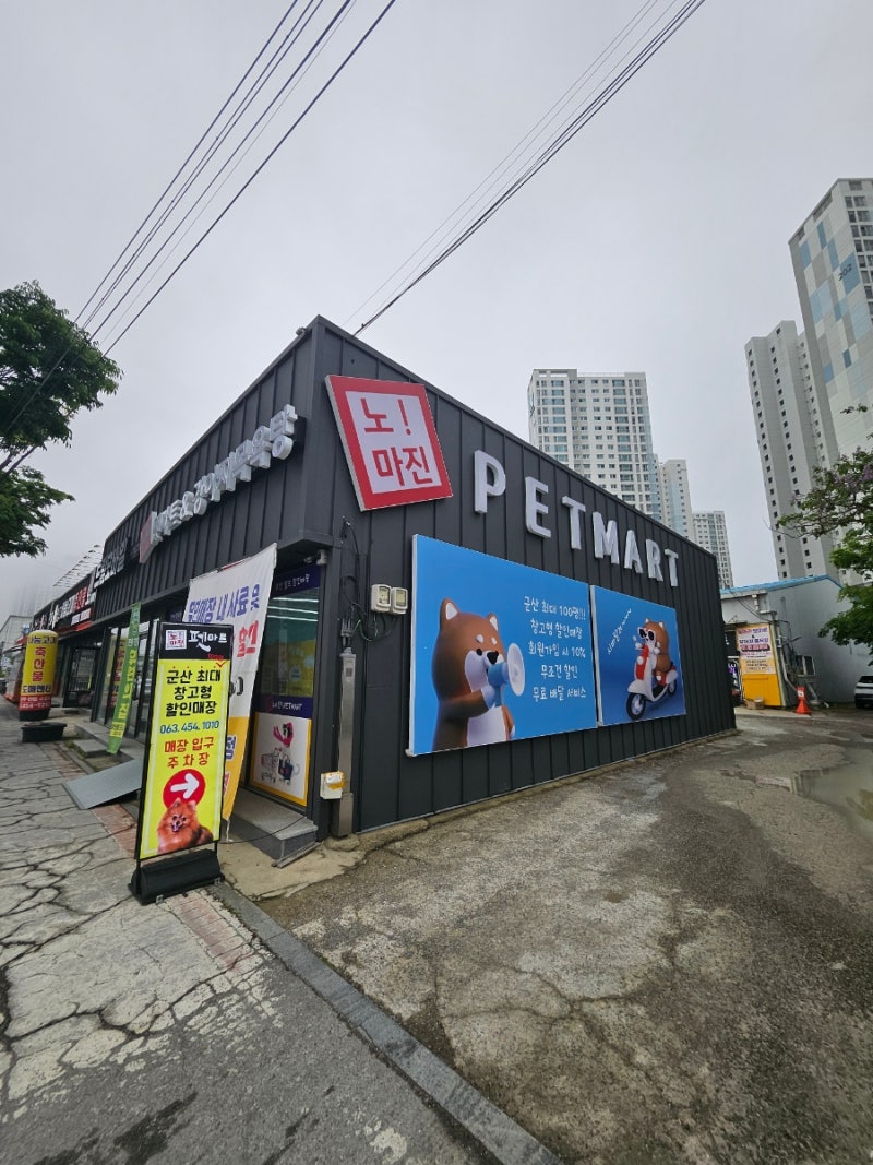 사진 7
