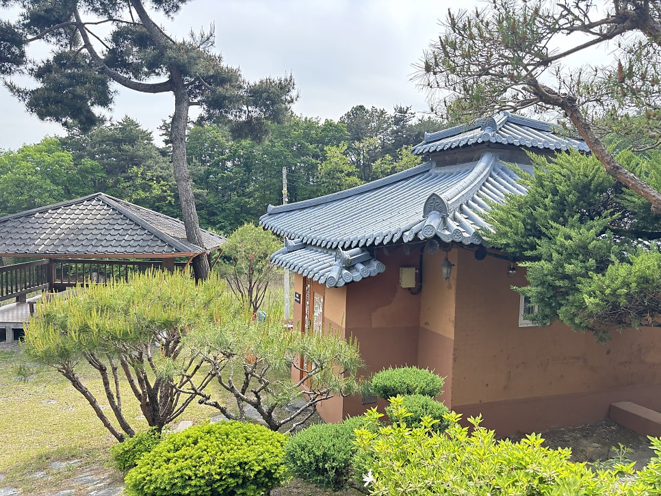 신천황토마을 사진 4