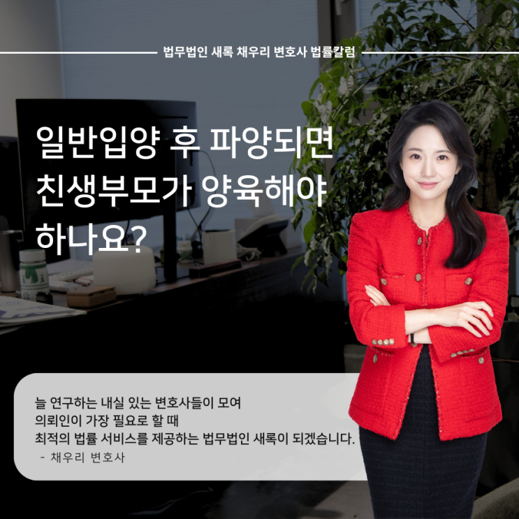  일반입양 후 파양되면 친생부모가 양육해야하나요?