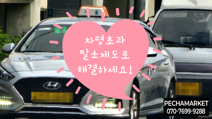  차령초과말소제도로 해결하세요!