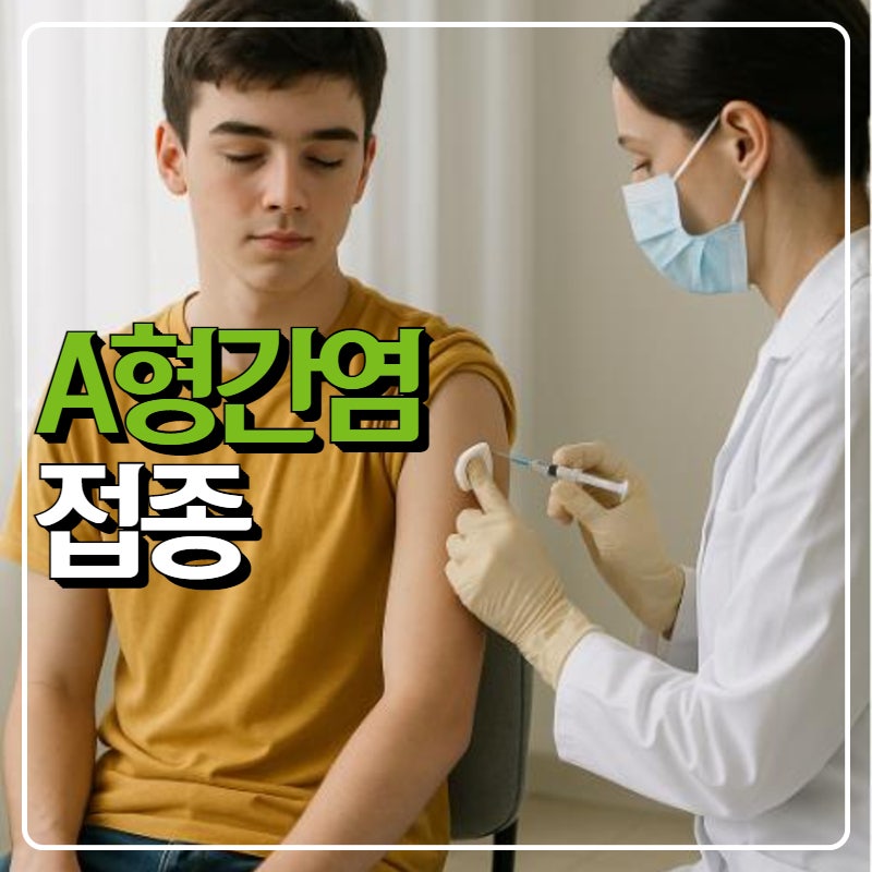A형 간염 예방접종 간격, 실비와 비용 완벽 정리