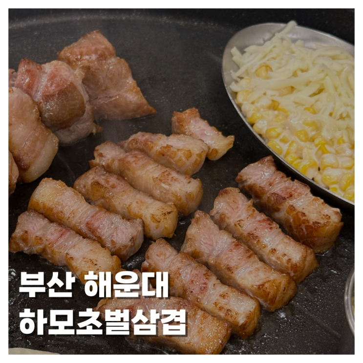  [FOOD]부산 해운대삼겹살 맛집 엘시티 근처 맛집 추천 구워주는 고급스러운 고깃집 찾는다면? 하모초벌삼겹 해운대 엘시티점