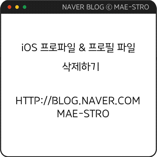  [iOS 정보] 프로파일 (프로필) 삭제하기