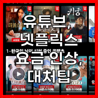  유튜브 프리미엄과 넷플릭스 요금 인상, 대처팁