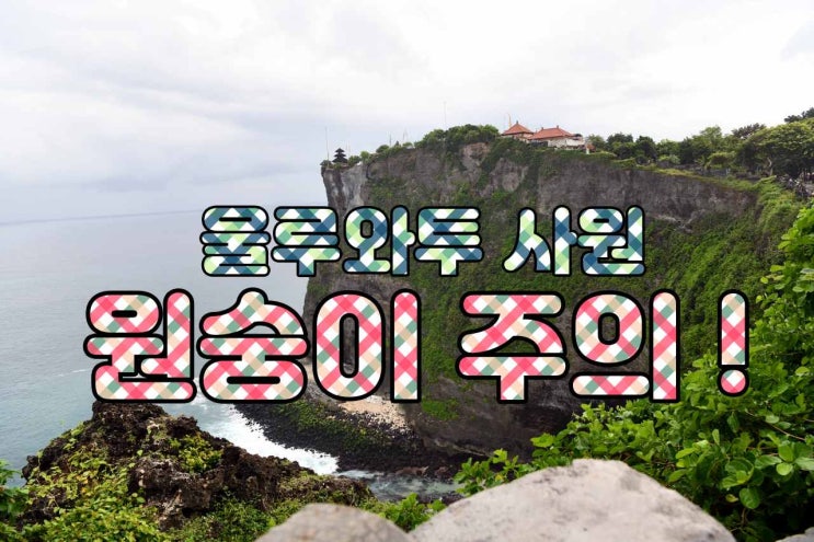  영악한 울루와투 원숭이들. 핸드폰 날치기