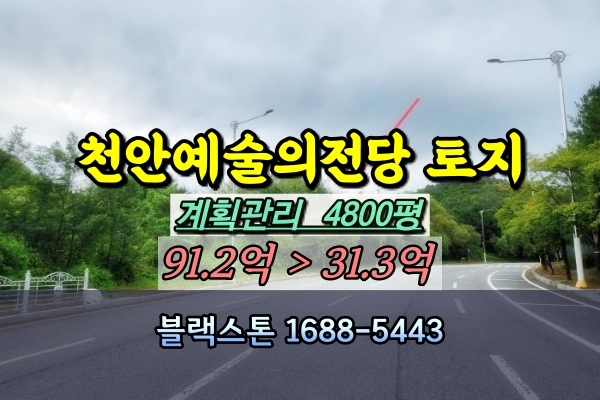  천안예술의전당 앞 대지 경매 5천평 30억 [2024타경3748]