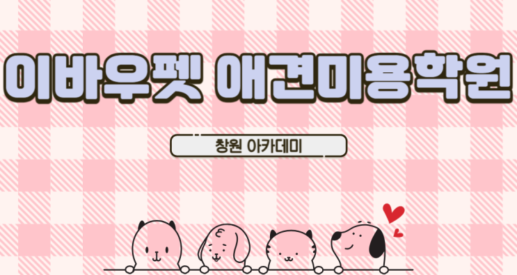  애견미용을 하는 이유 창원애견미용학원 추천드려요