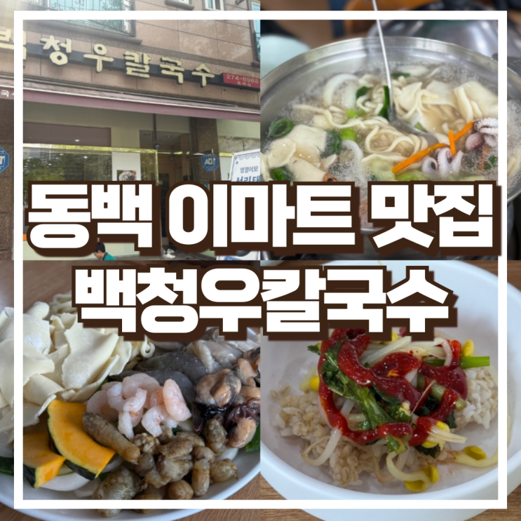  동백 이마트 맛집 백청우칼국수 동백점 해물칼국수 후기