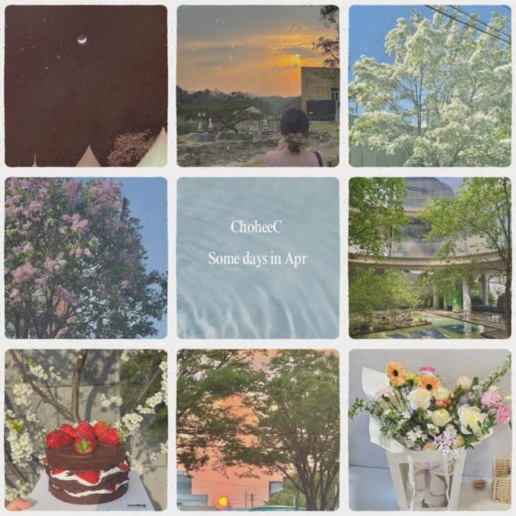  25년 4월의 기록 [April Dump]
