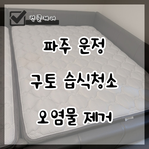  침대 얼룩 구토 자국 습식청소 냄새 제거 파주 운정
