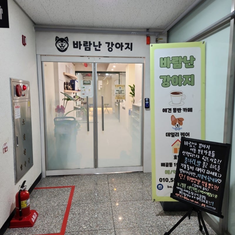 사진 4