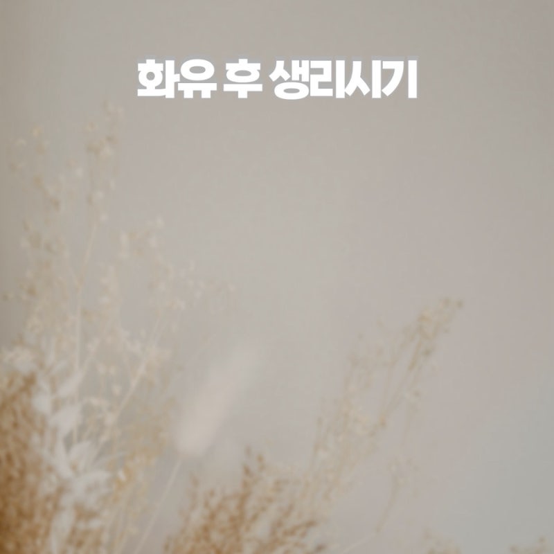 화유 후 생리시기_늦어지는 배란.