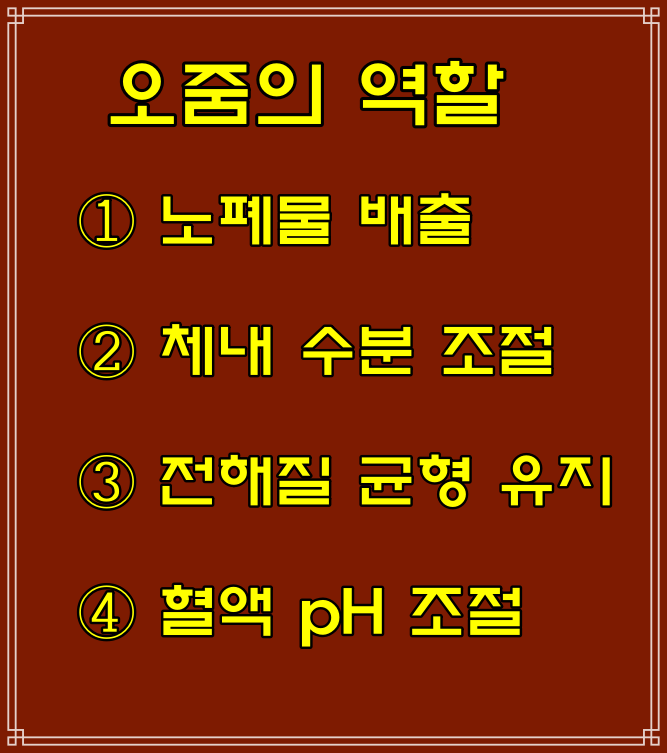 오줌 색깔(갈색/노란색/붉은색)냄새에 따른 건강 상태, 소변의 성분과 작용