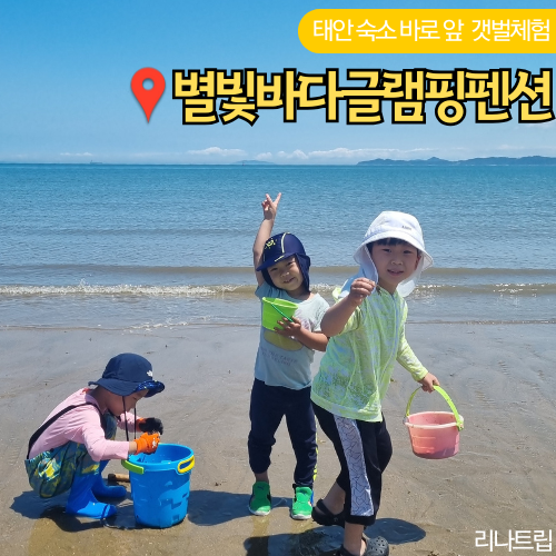  별빛바다글램핑펜션 충남 태안 학암포 가족여행 갯벌체험숙소 아이와 가볼만한곳