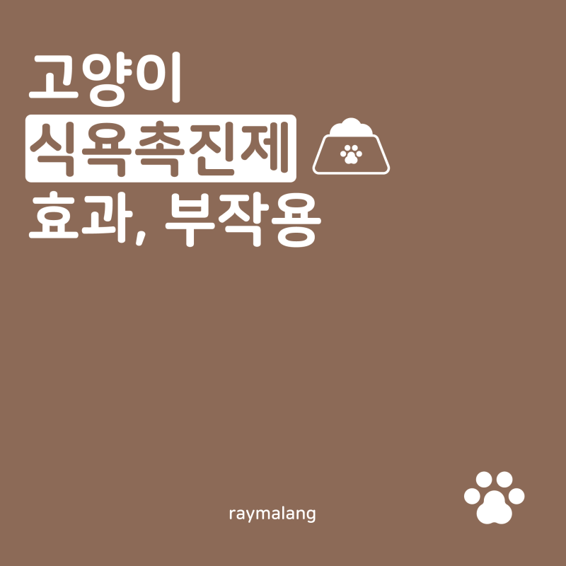 "우리 고양이가 갑자기 밥을 안 먹어요" 고양이 식욕촉진제 효과, 부작용