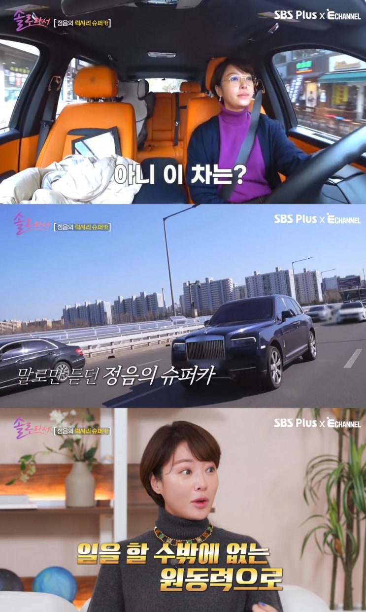 [충격 속보] <b>황정음</b>, 법인 공금 <b>43억 횡령</b> 혐의 인정... 