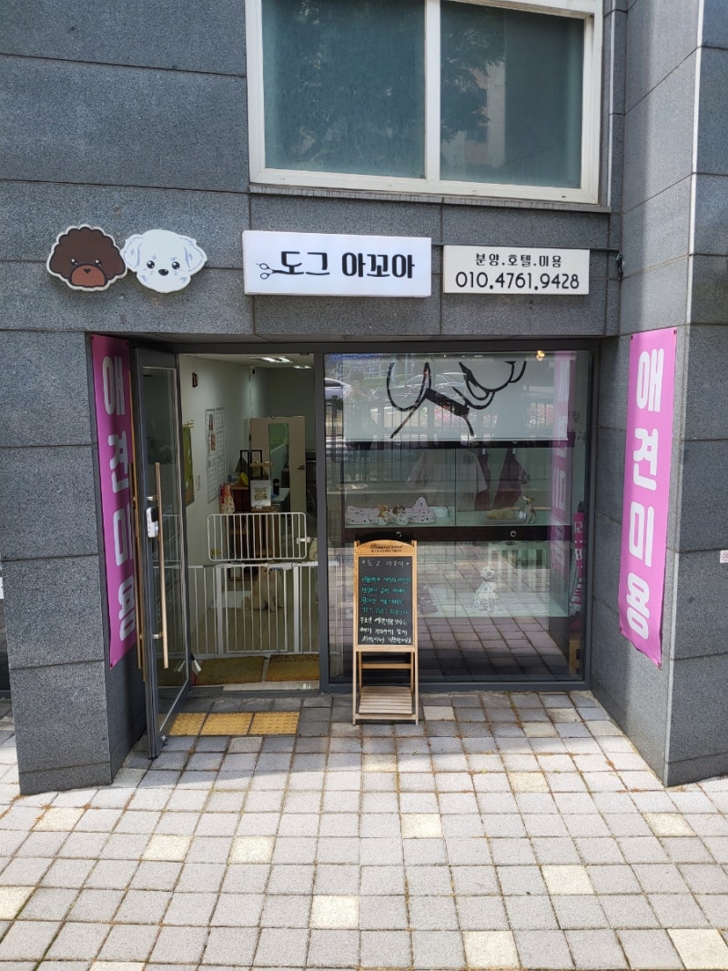사진 3