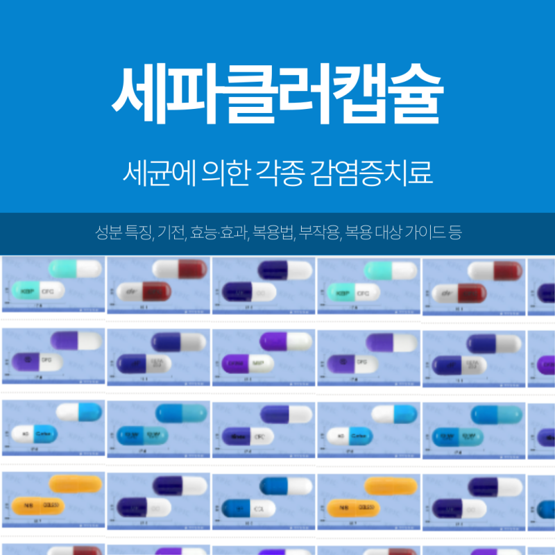 세파클러캡슐 살균기전 효능 부작용 복용법 요점