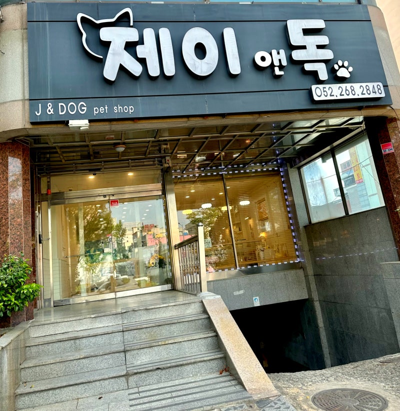사진 4