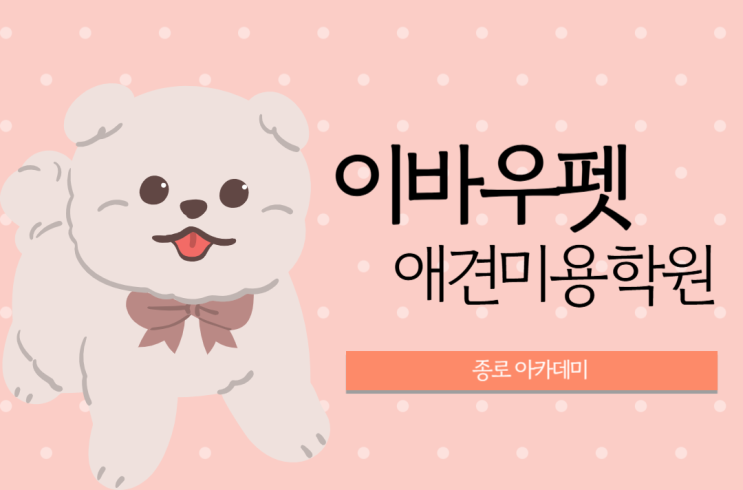  종로애견미용학원 추천드려요:)