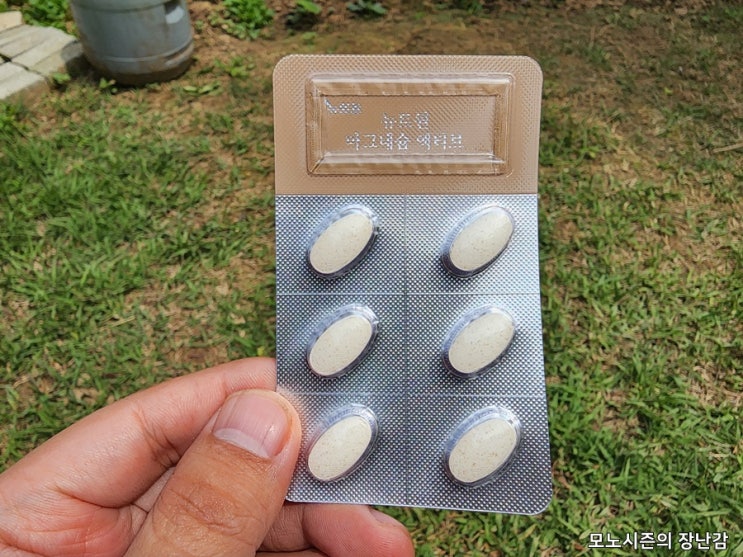  뉴트원 마그네슘 액티브 350mg, 약사가 설계한 온 가족 활력 영양제 솔직 후기