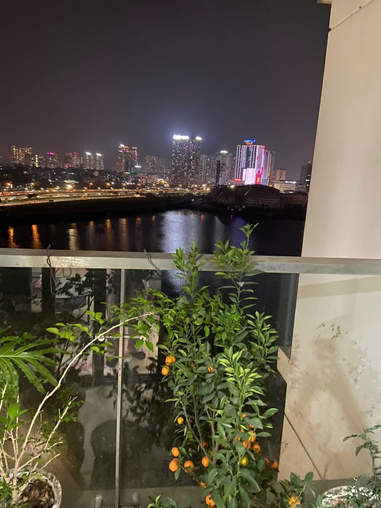  하노이 스카이레이크 S3 2룸 풀옵션 호수전망 2100만동 좋은 아파트 임대 알려드립니다 ( VINHOMES SKYLAKE )