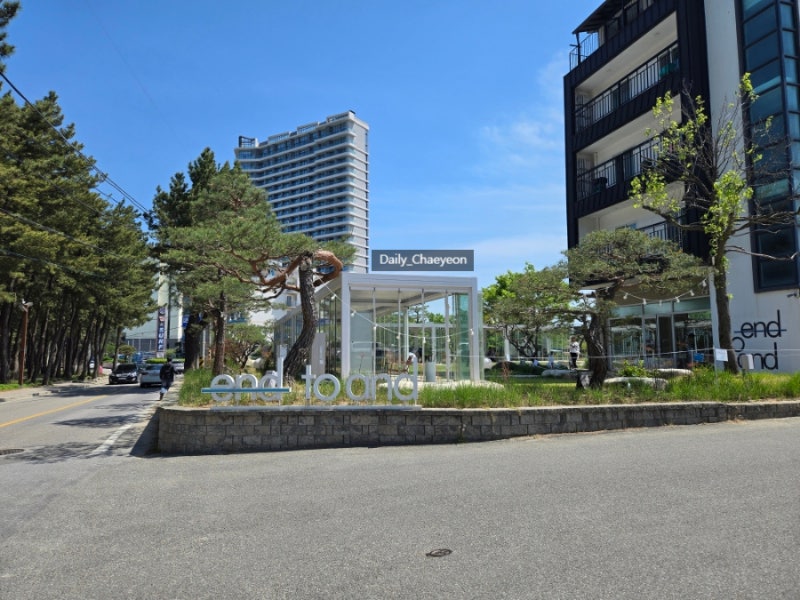 사진 2